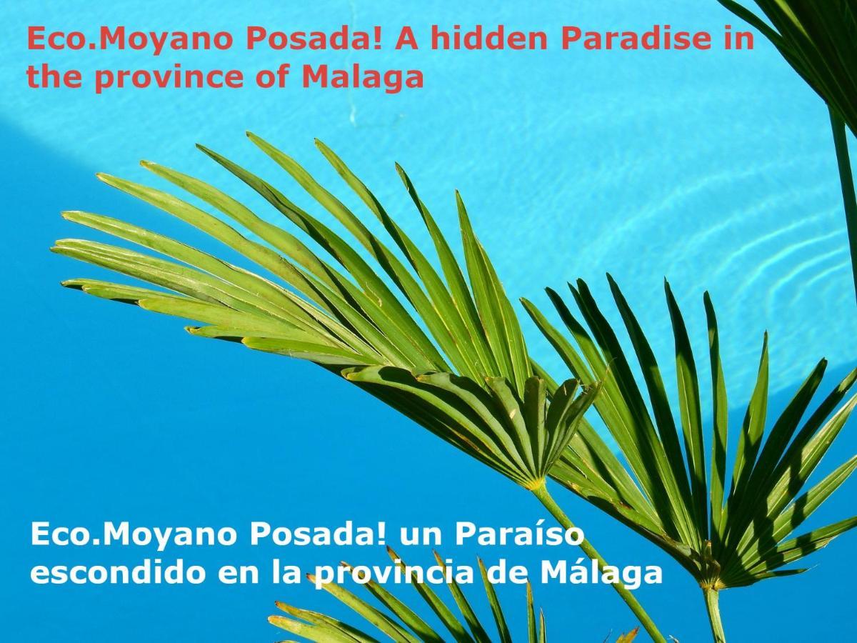Eco Moyano Posada Gaucín Eksteriør billede