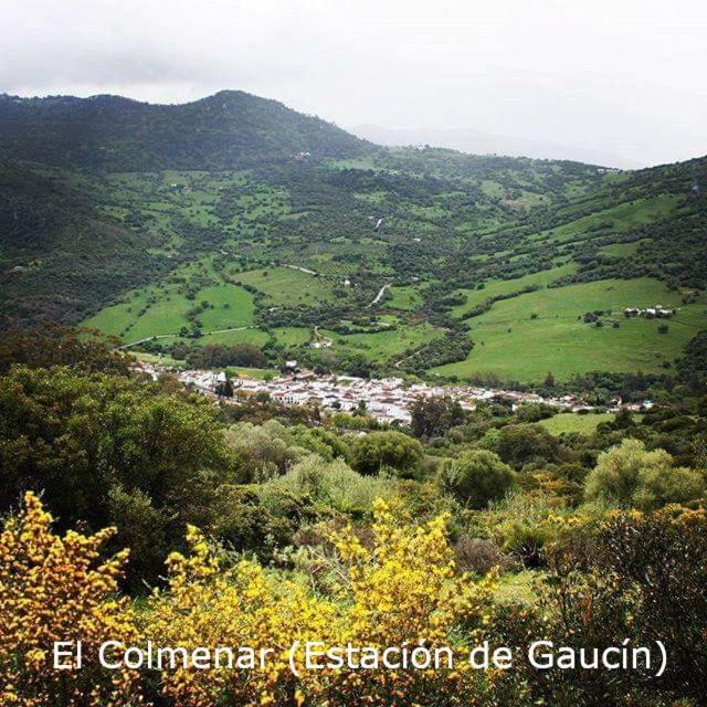 Eco Moyano Posada Gaucín Eksteriør billede
